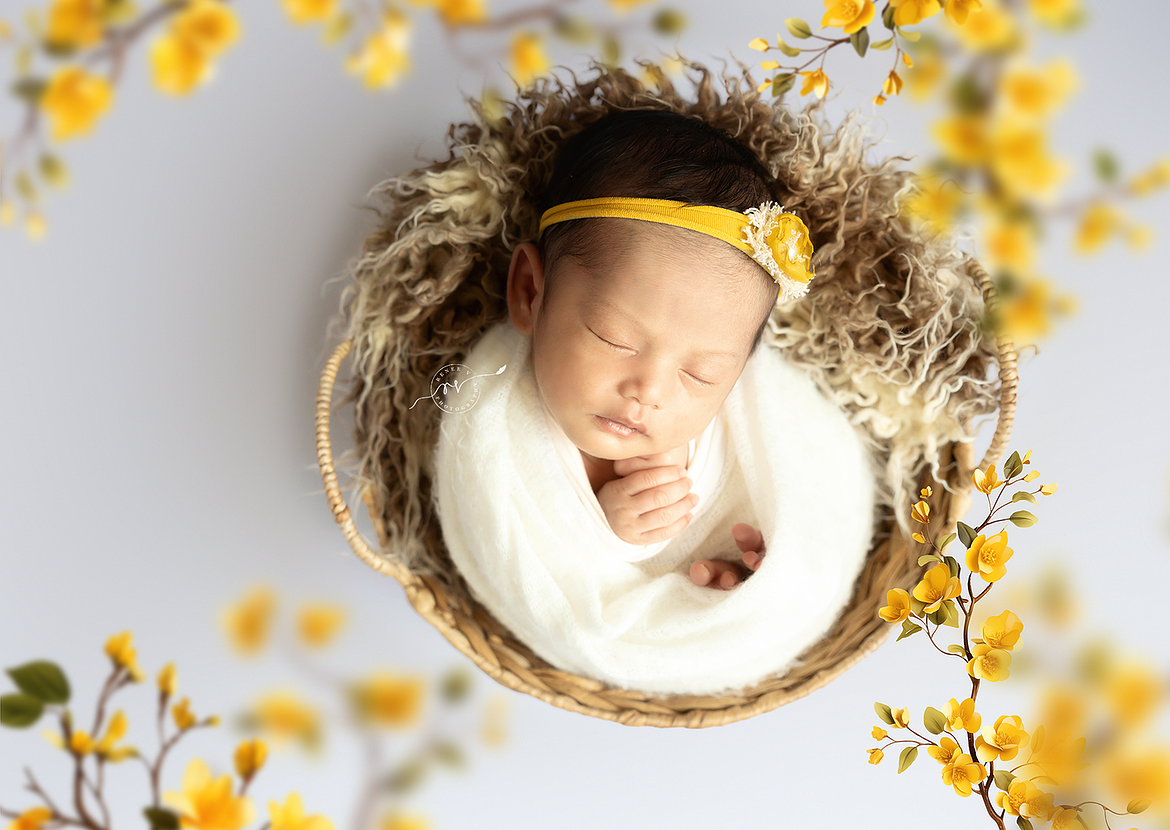 Melbourne Newborn Photographer