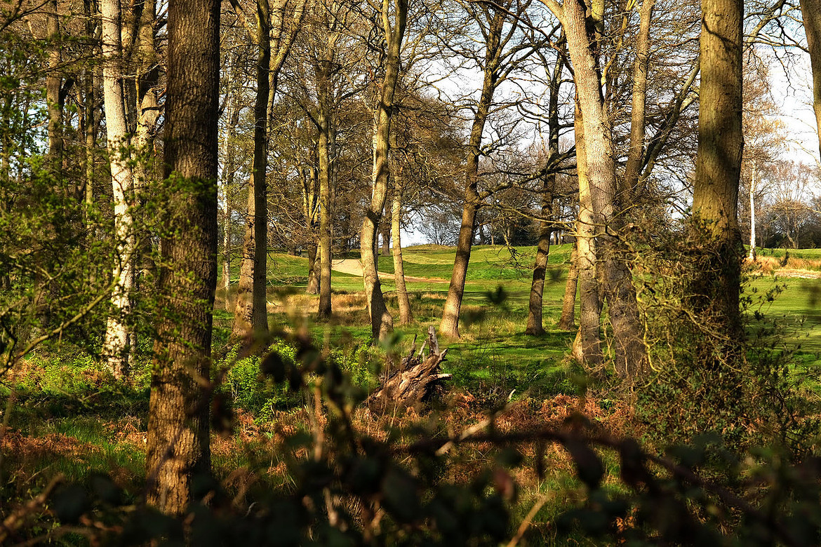 Golf Course
