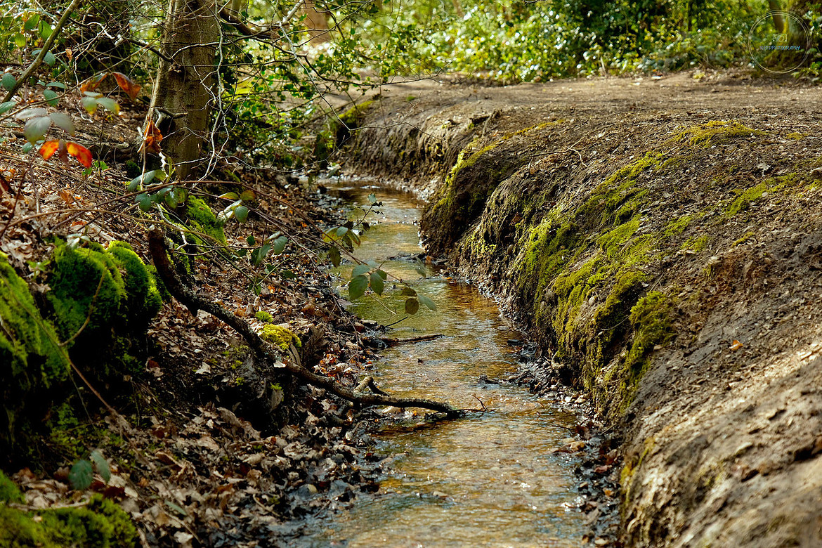 Stream