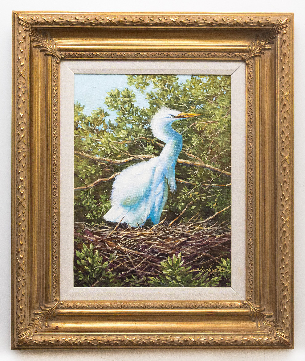 Framed Egret in the Nest.jpg