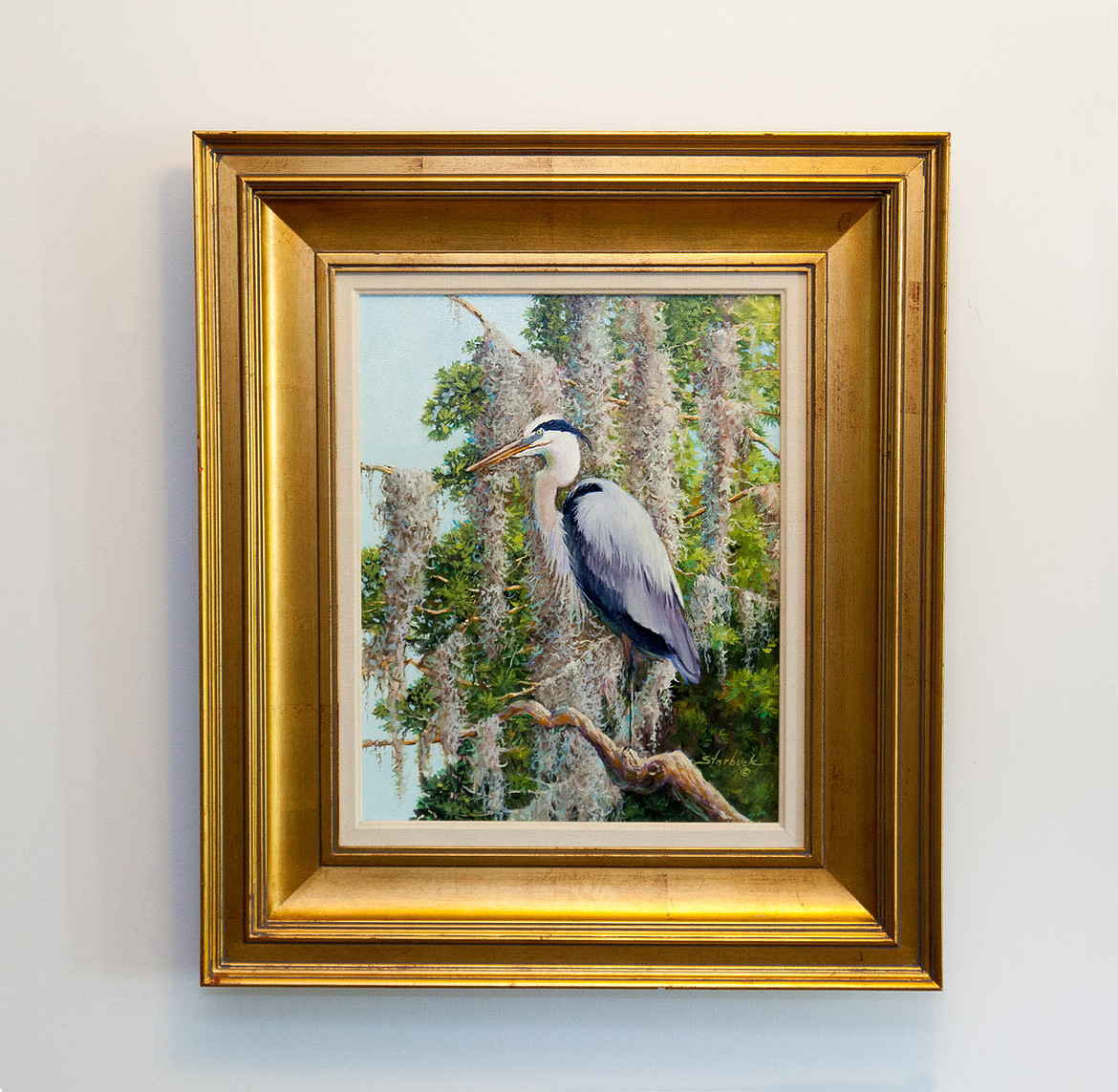 StarbuckGreatBlueHeronintheMossFramedR.jpg