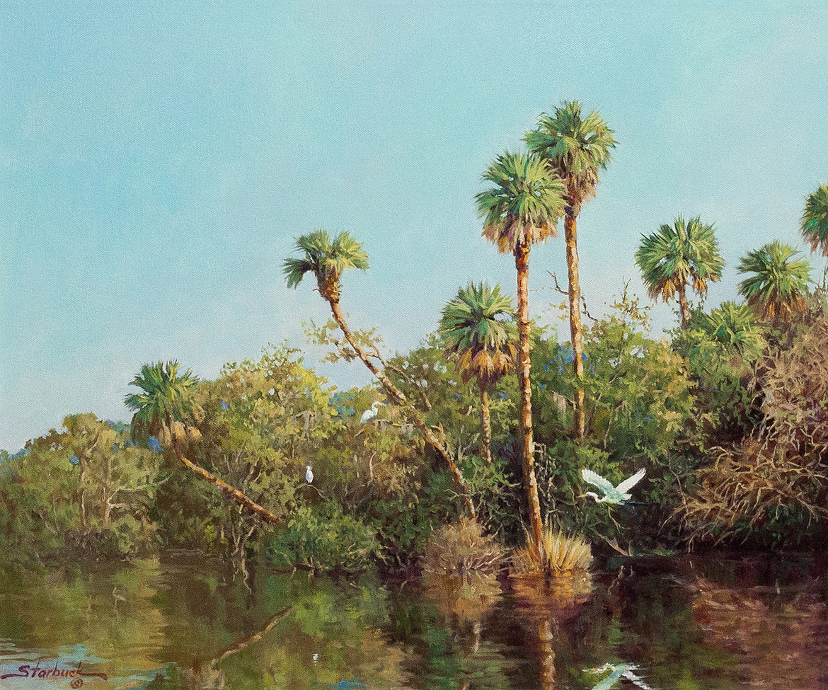 StarbuckLoxahatchee PalmsR 20x24.jpg
