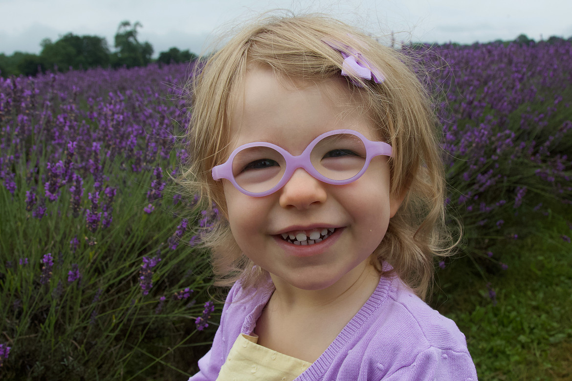 Lavender