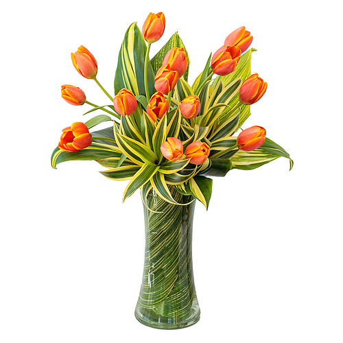 Orange Tulips