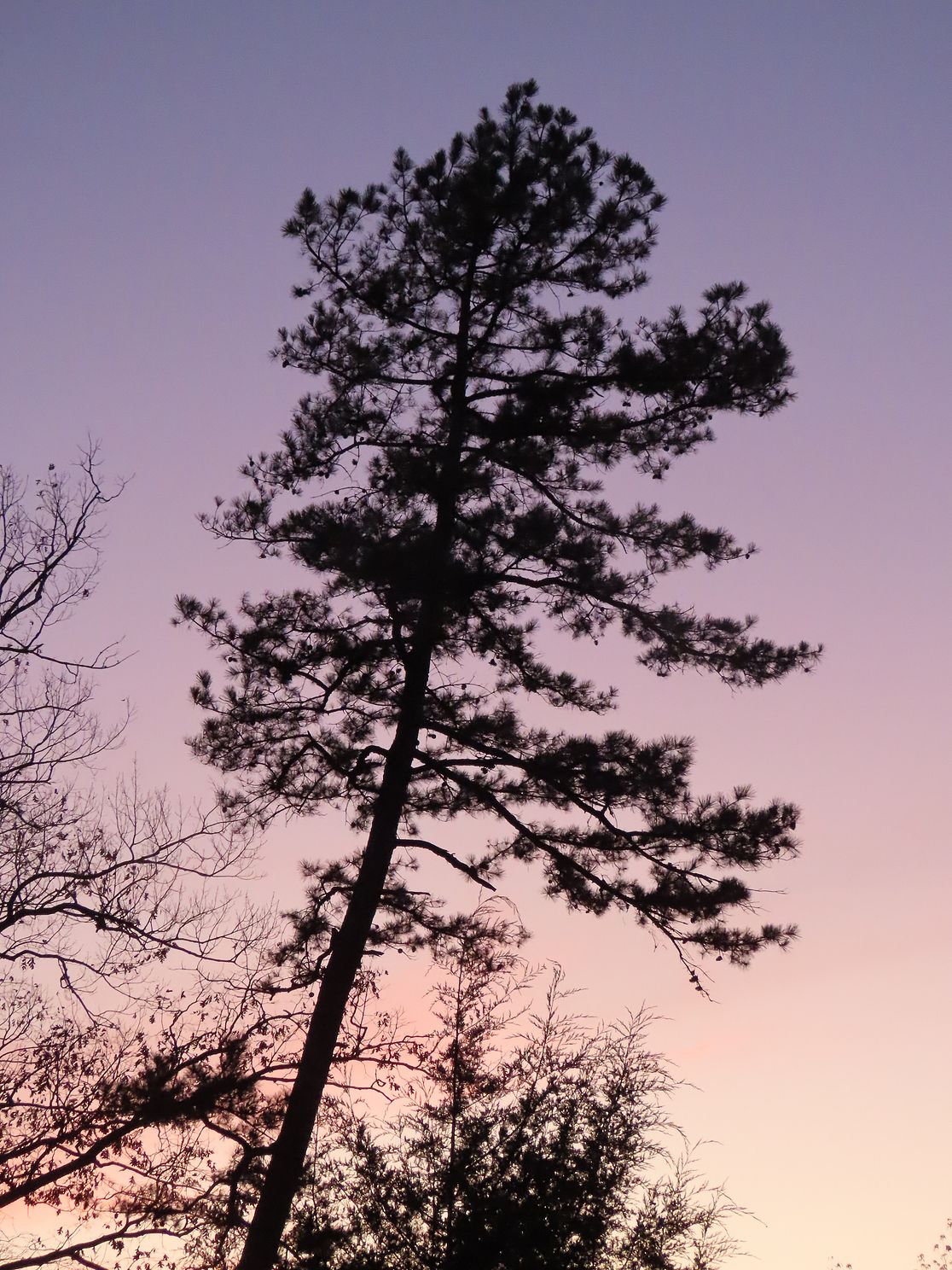 sunset sky