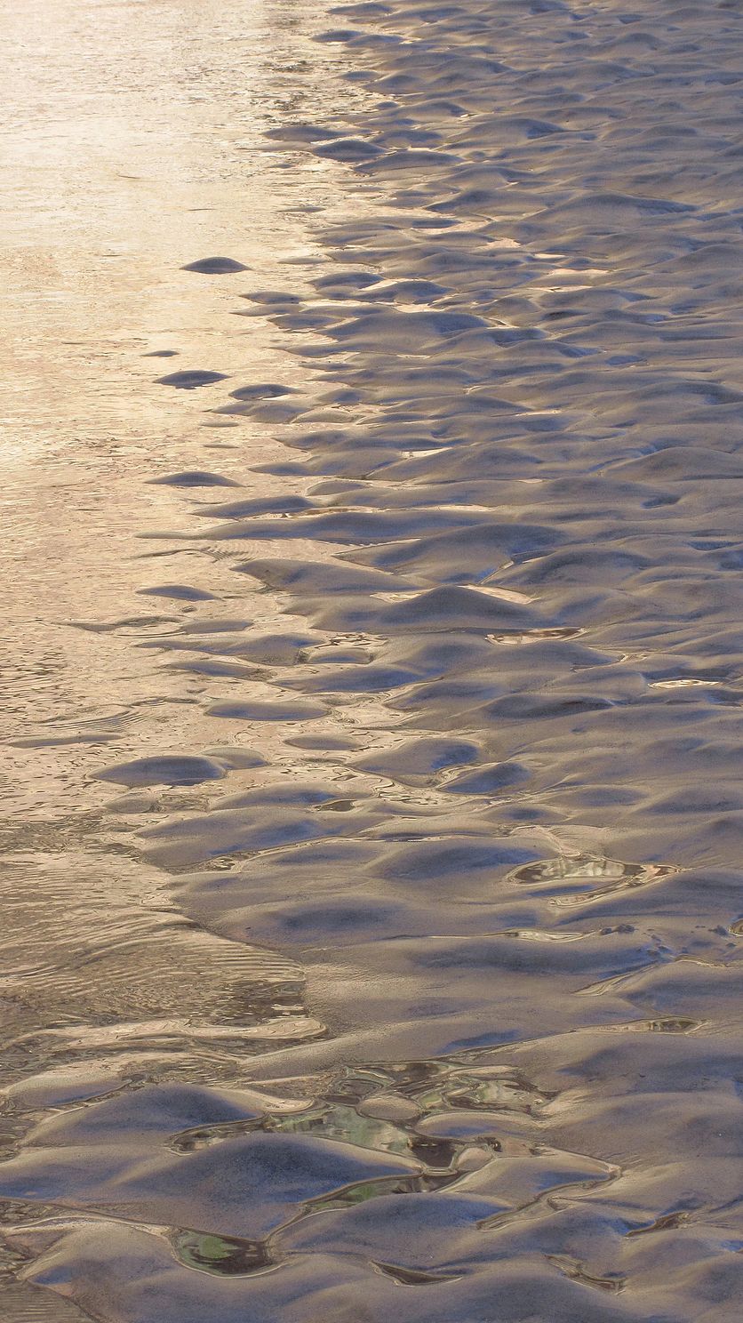 "Low Tide"