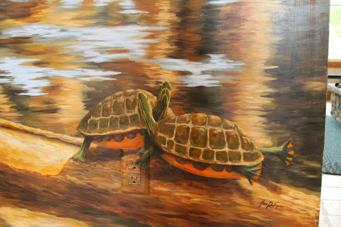turtlesjpg