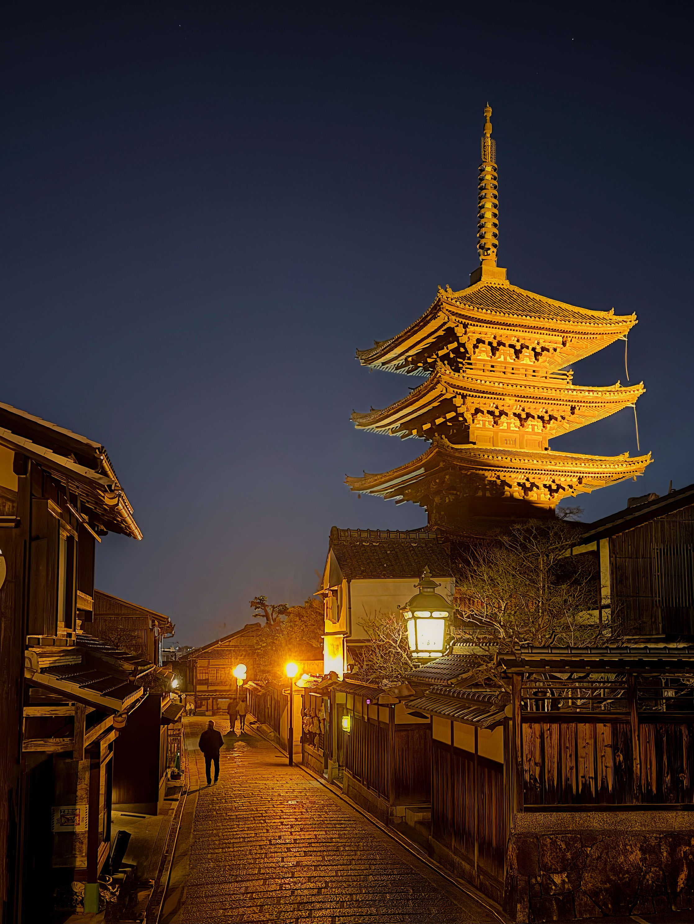 Nighttime  Hokanji Temple Gion