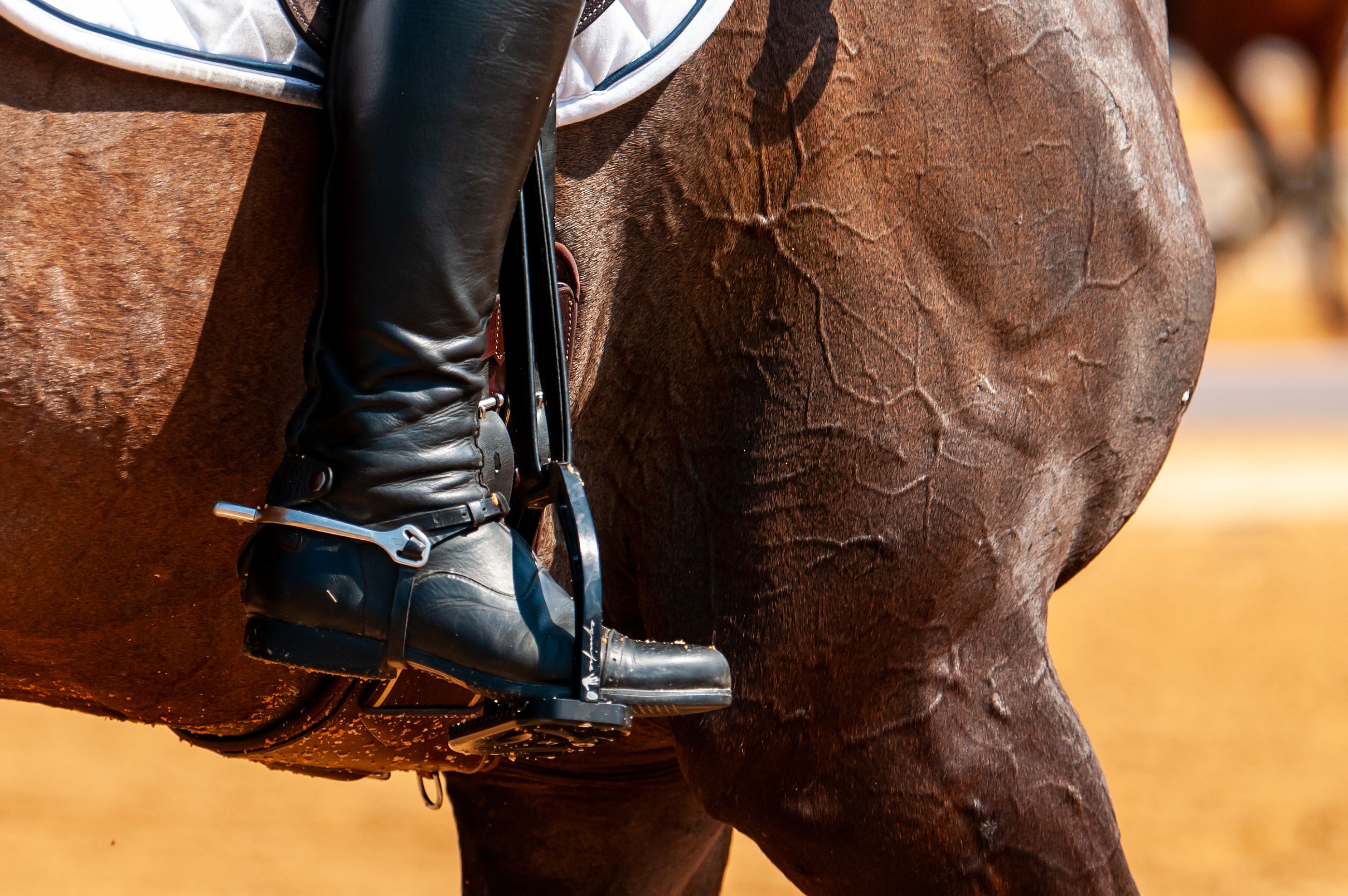 EQ   Warhorse Event Series  June