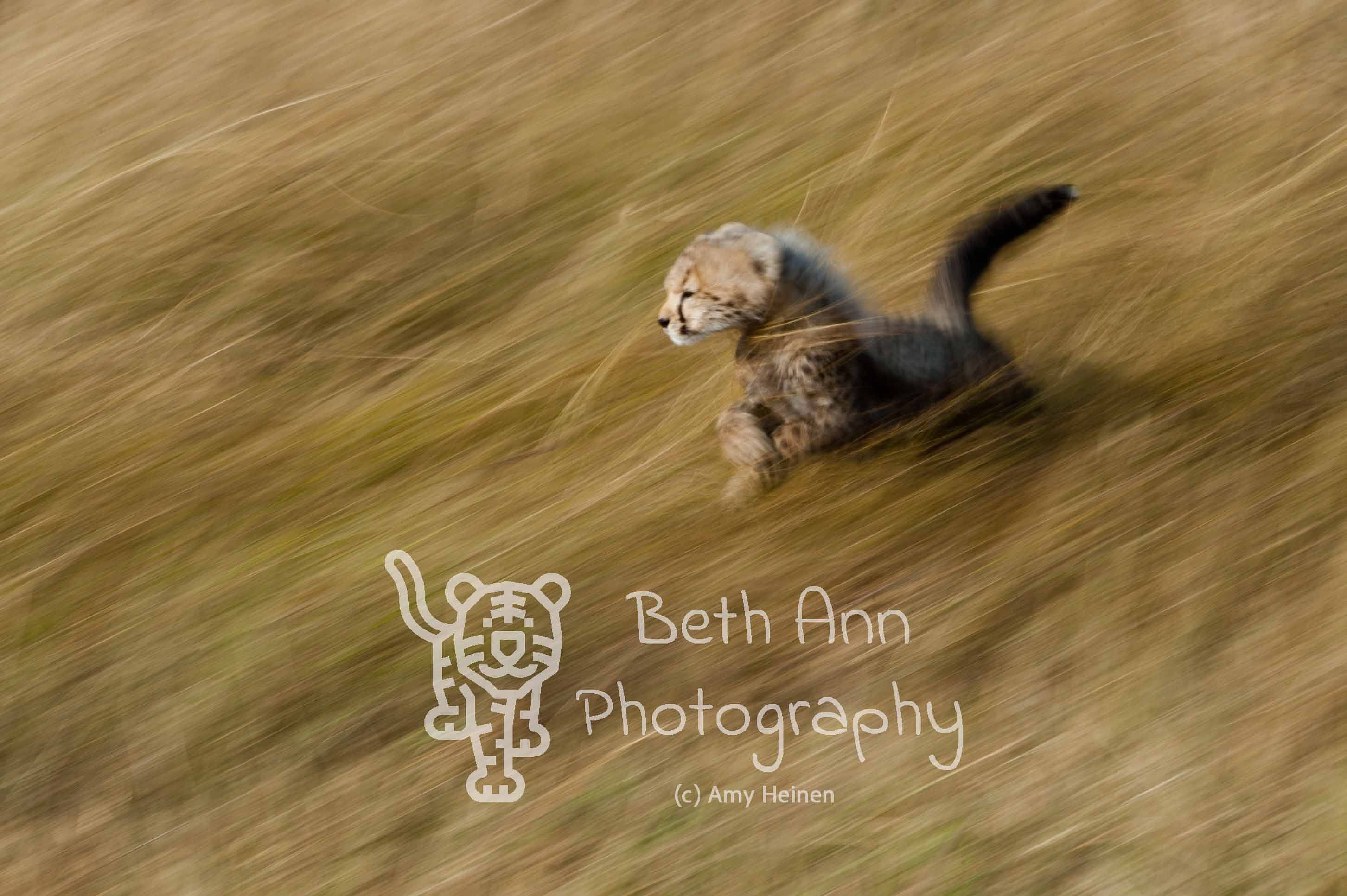 Dash Through the Grass