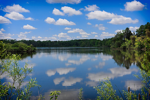 Clouds reflection over a pond
