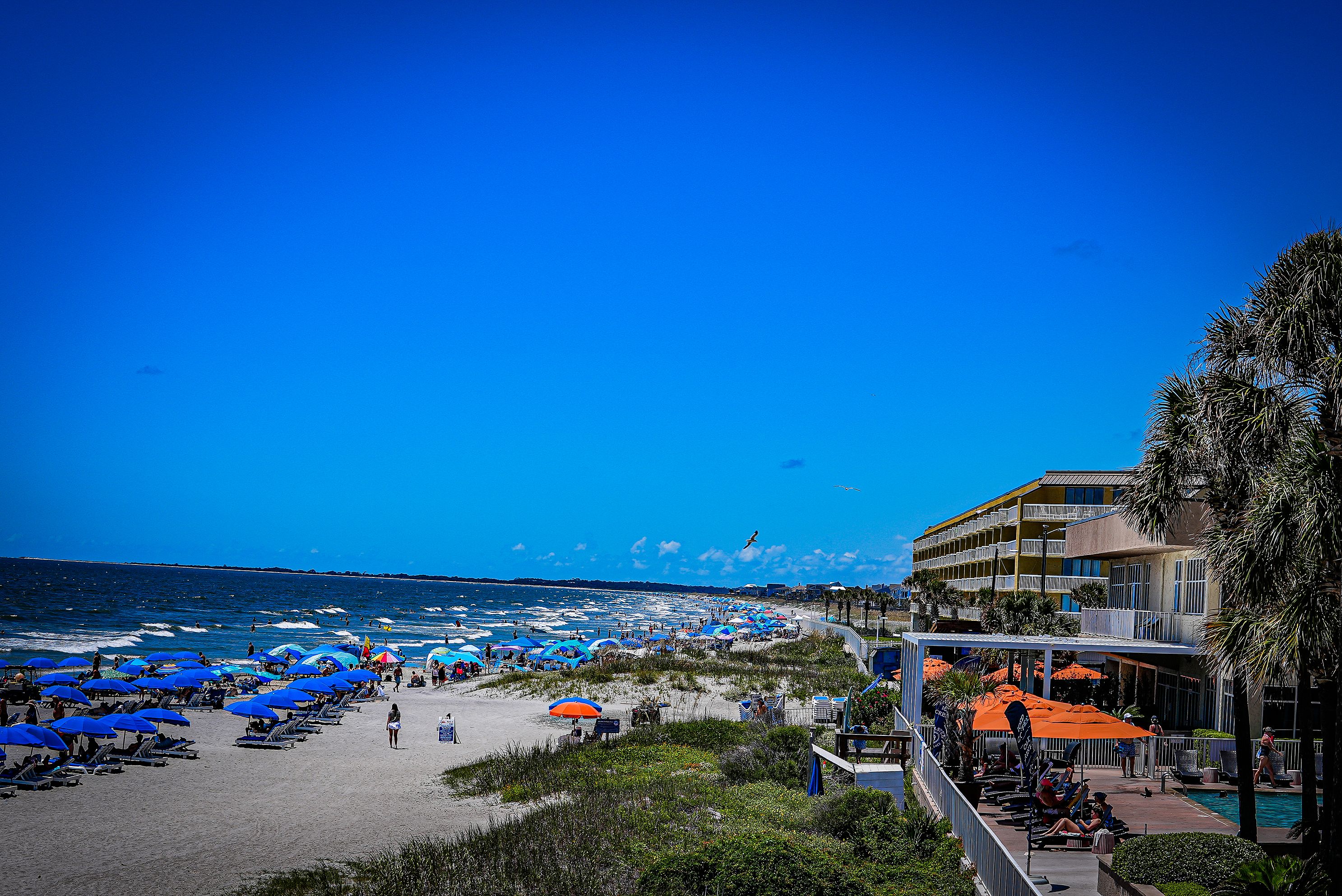 The ocean and beach in south Carolina, Charleston
