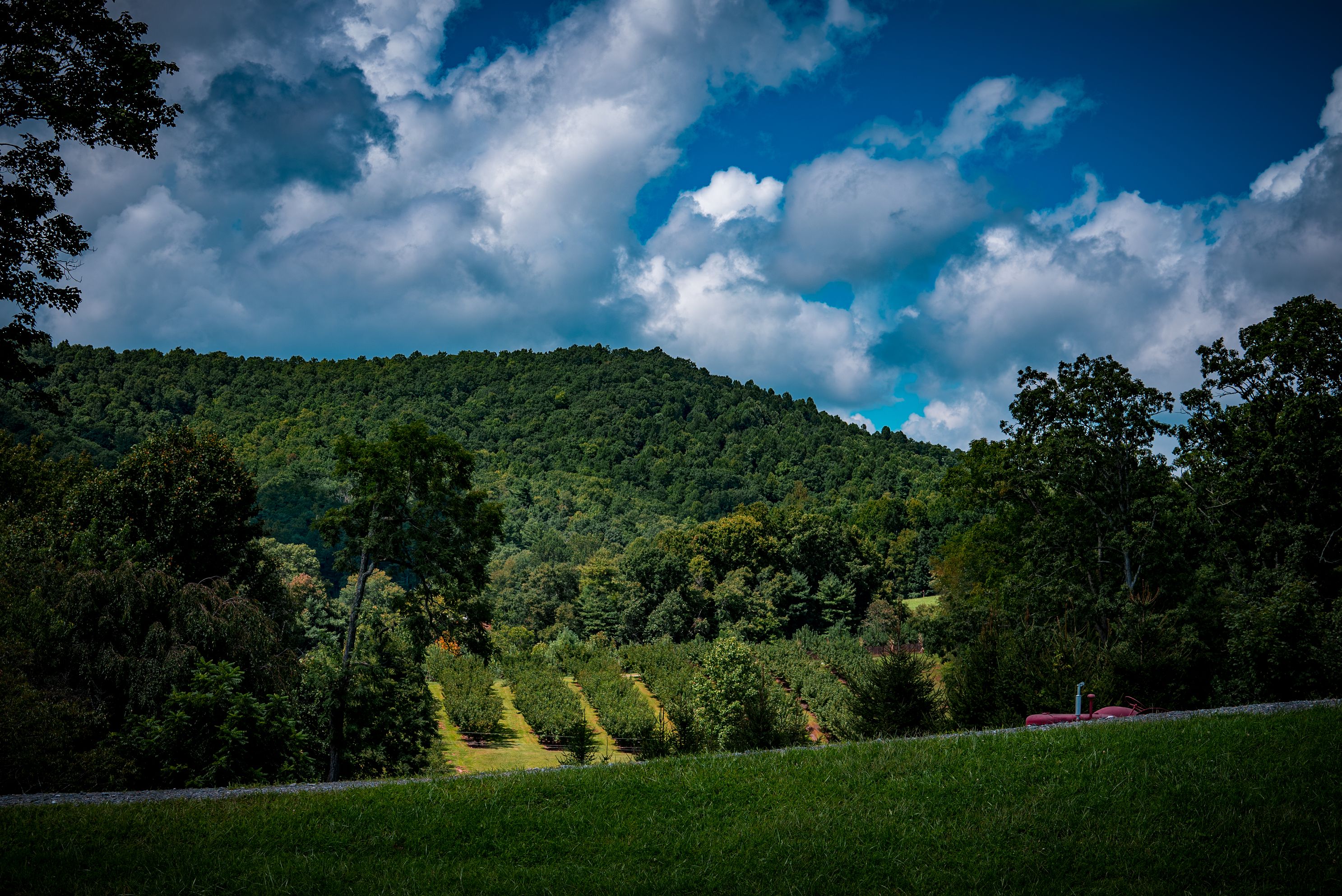 Scenic shot from the farm showcasing the lush greenery and rolling mountains
