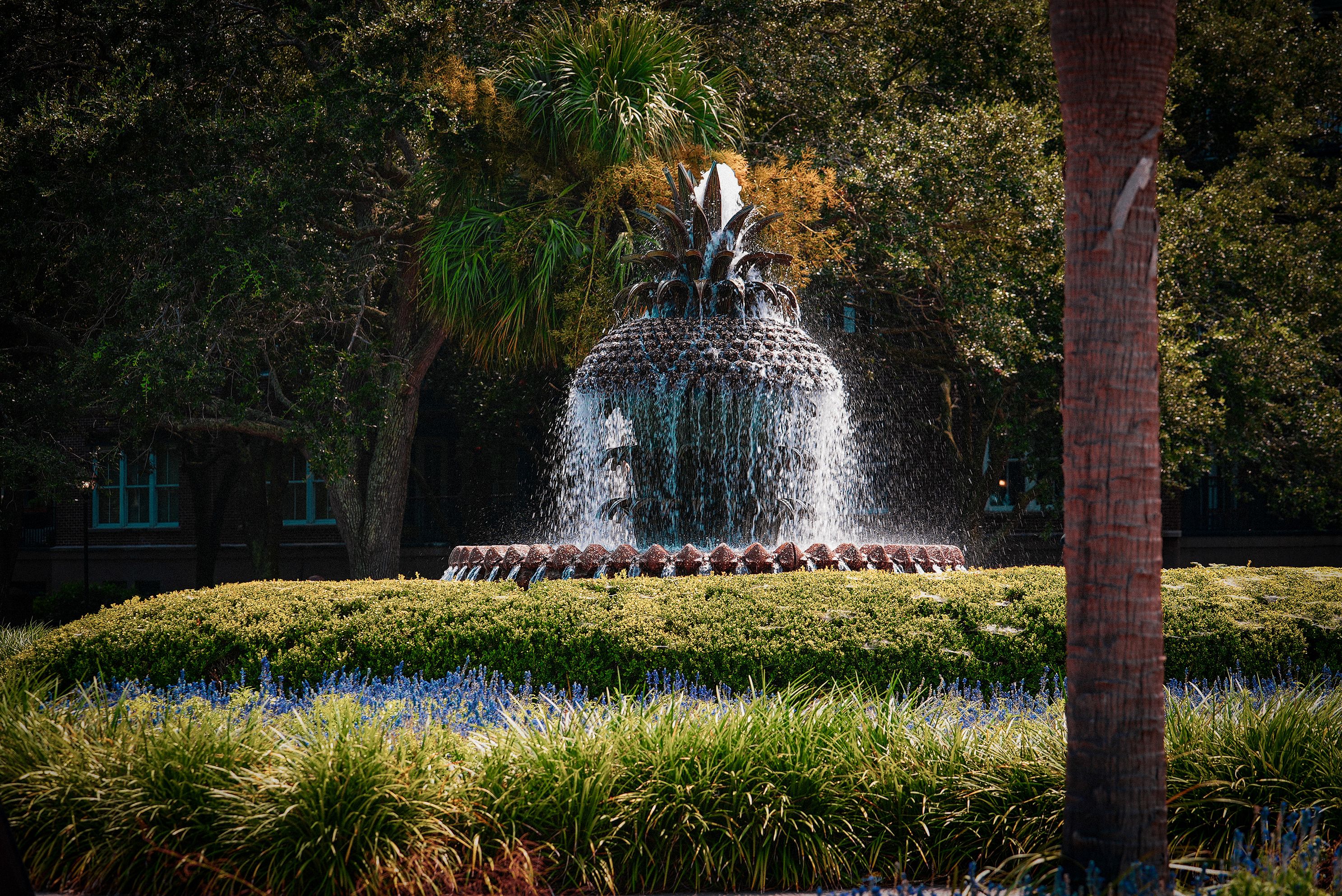 Beautiful fountain in downtown Charleston, South Carolina