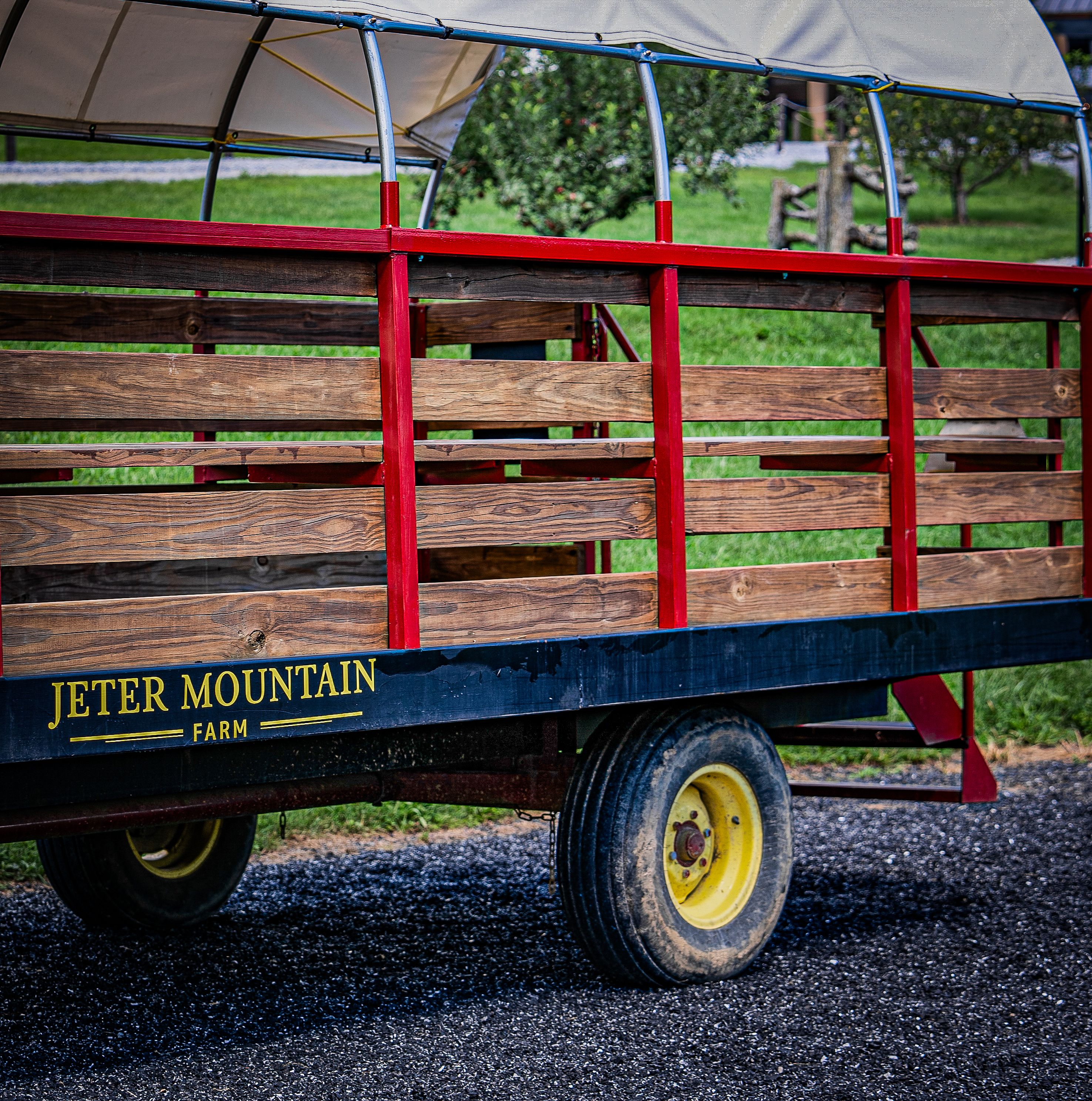 Close-up of the wagon used for rides, highlighting its details and craftsmanship