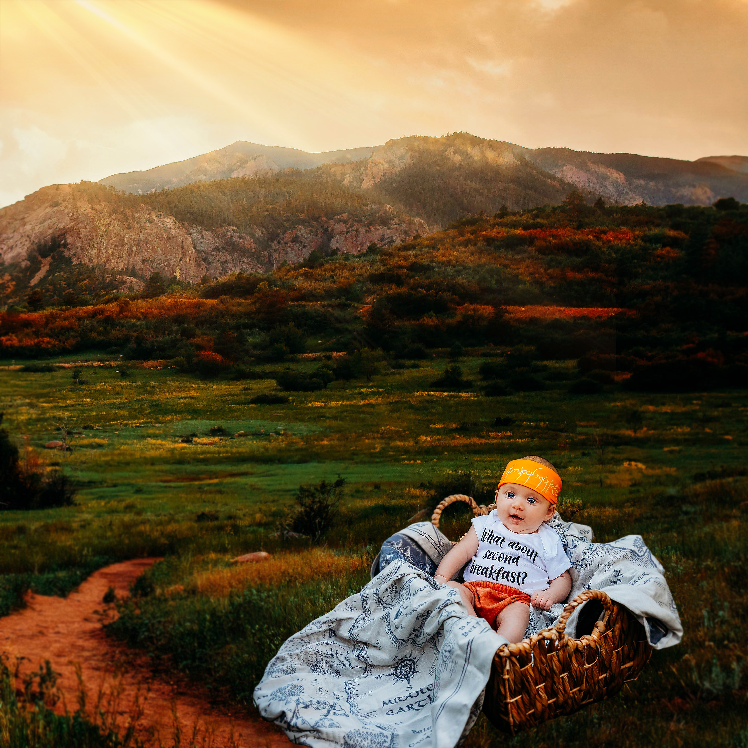 Lord of the Ring inspired baby photo in a basket