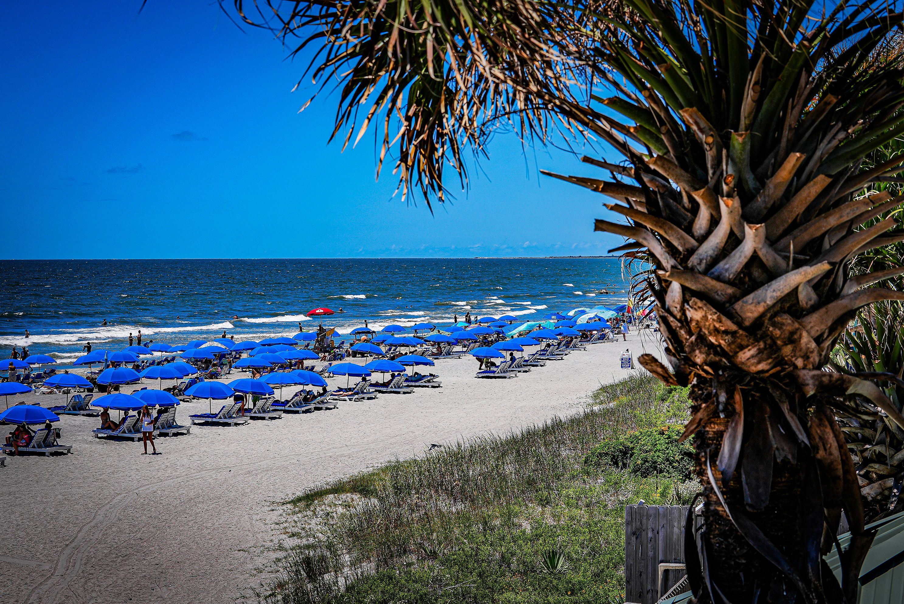 The ocean and beach in south Carolina, Charleston