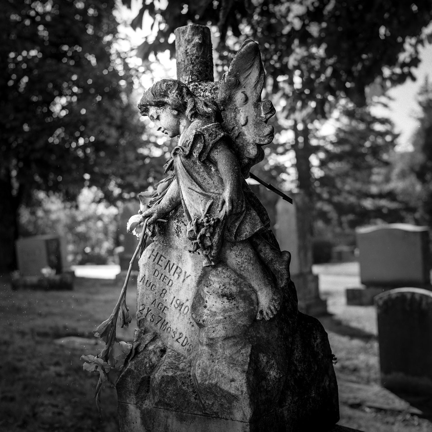statuesjpg