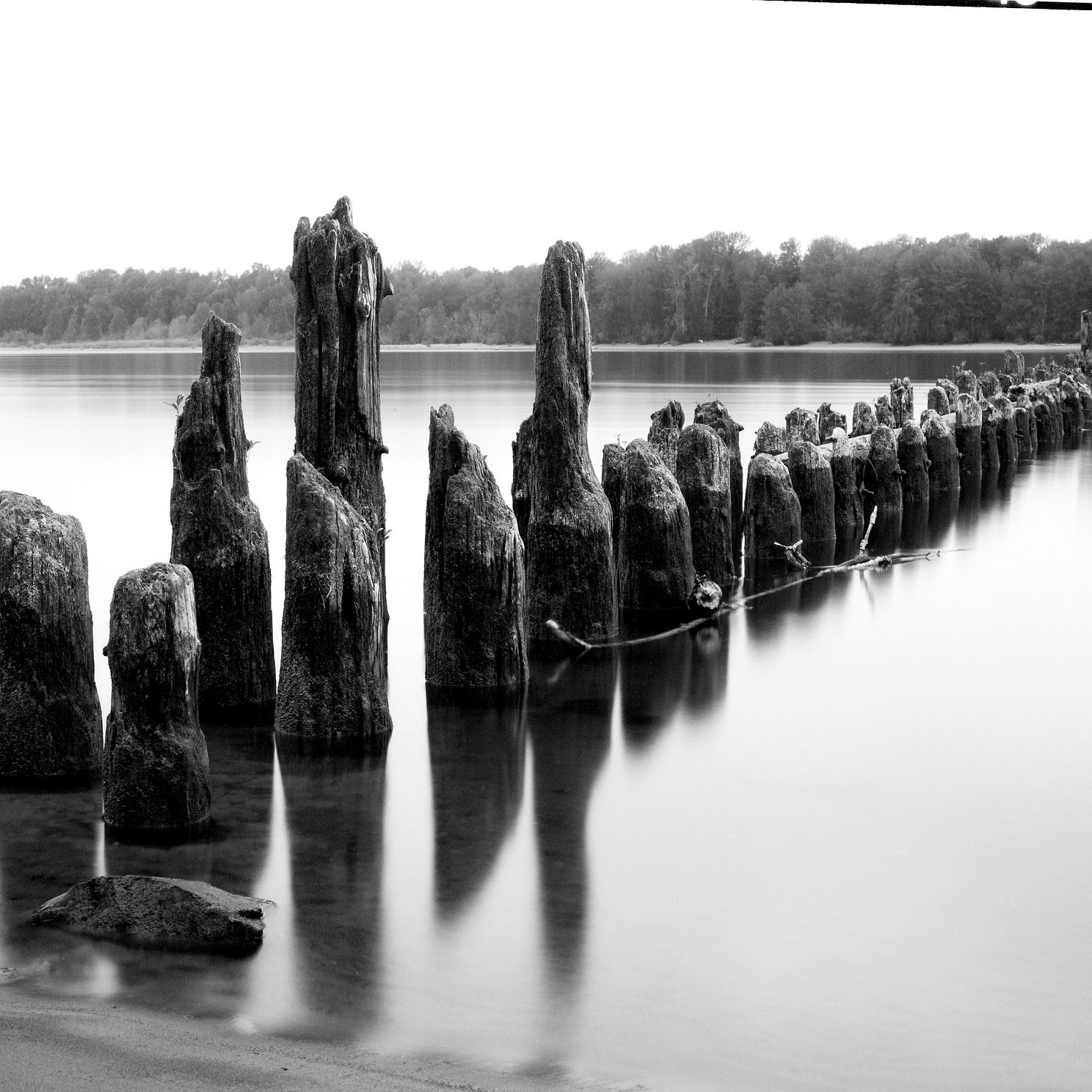 TMX Pylons jpg