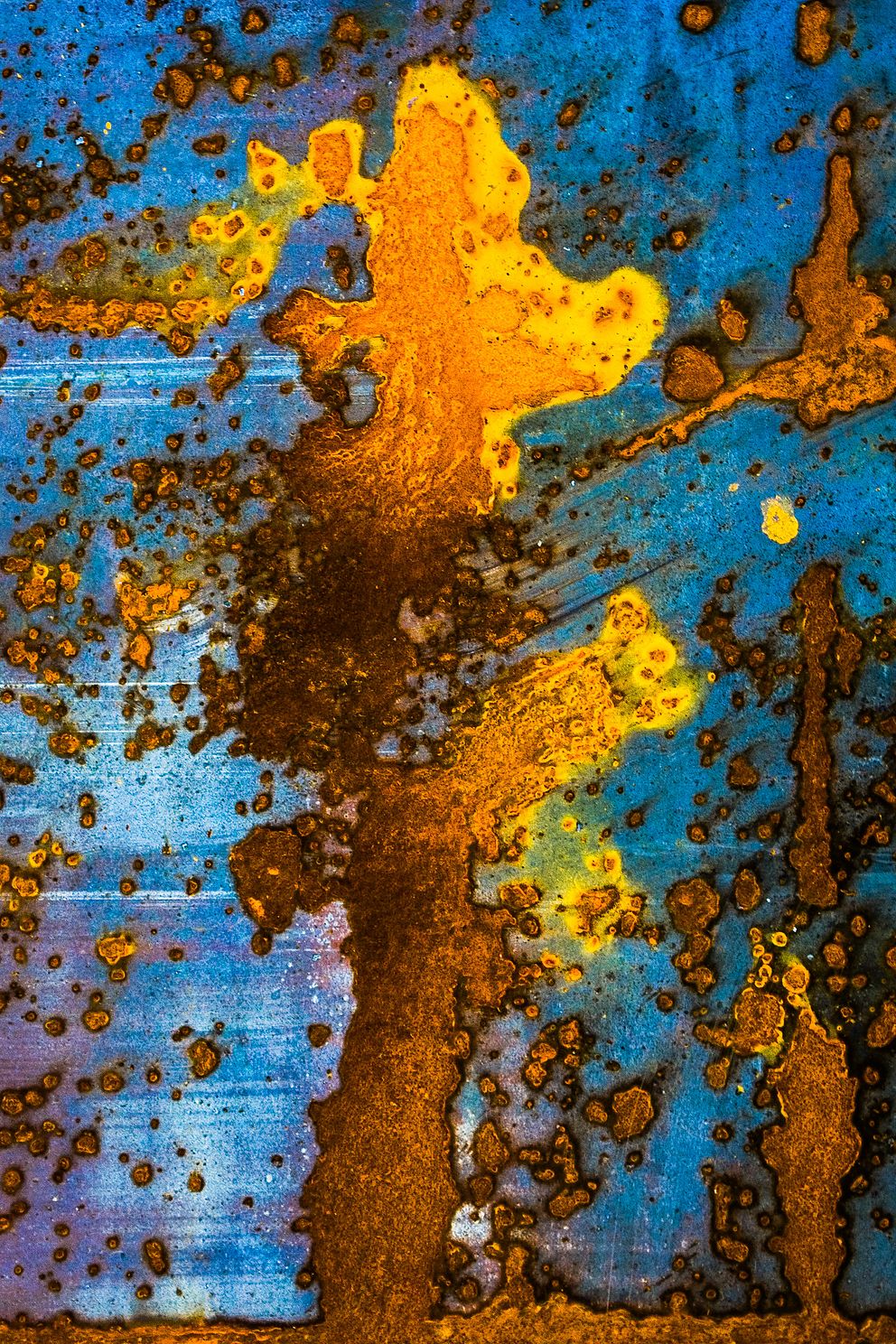 Forest Firejpg