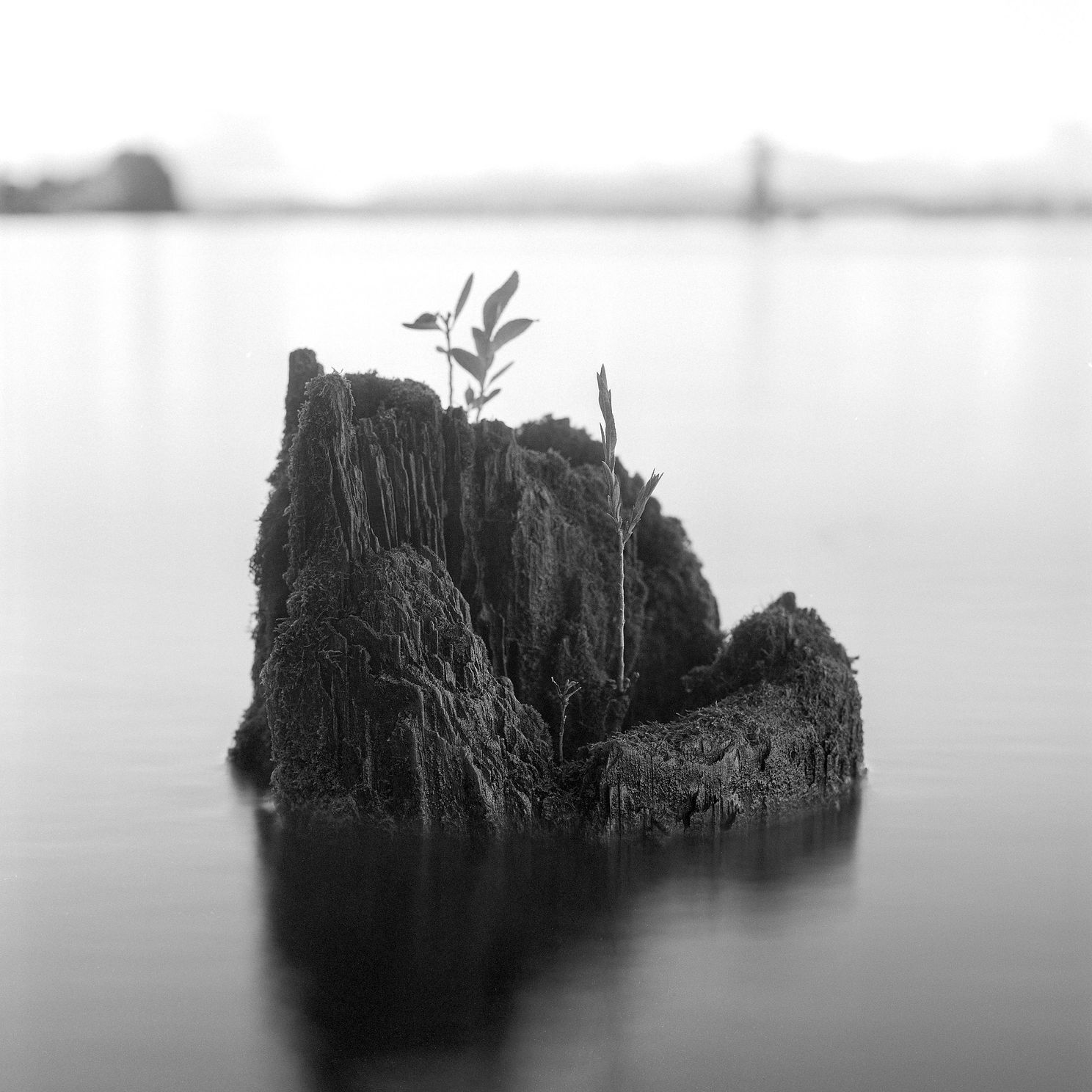 D Pylons  jpg