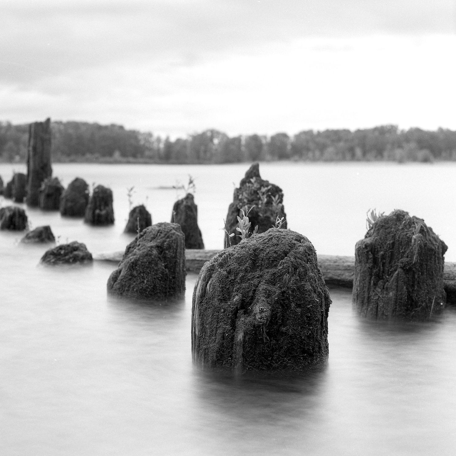 D Pylons  jpg
