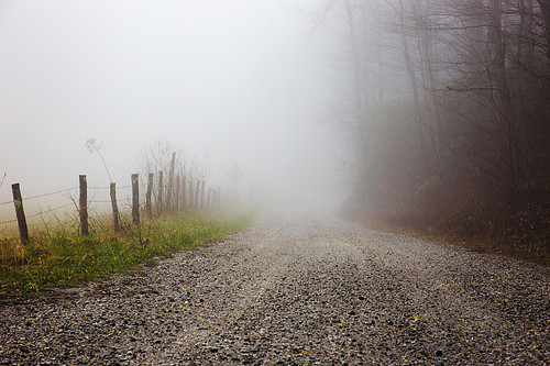 Misty Road