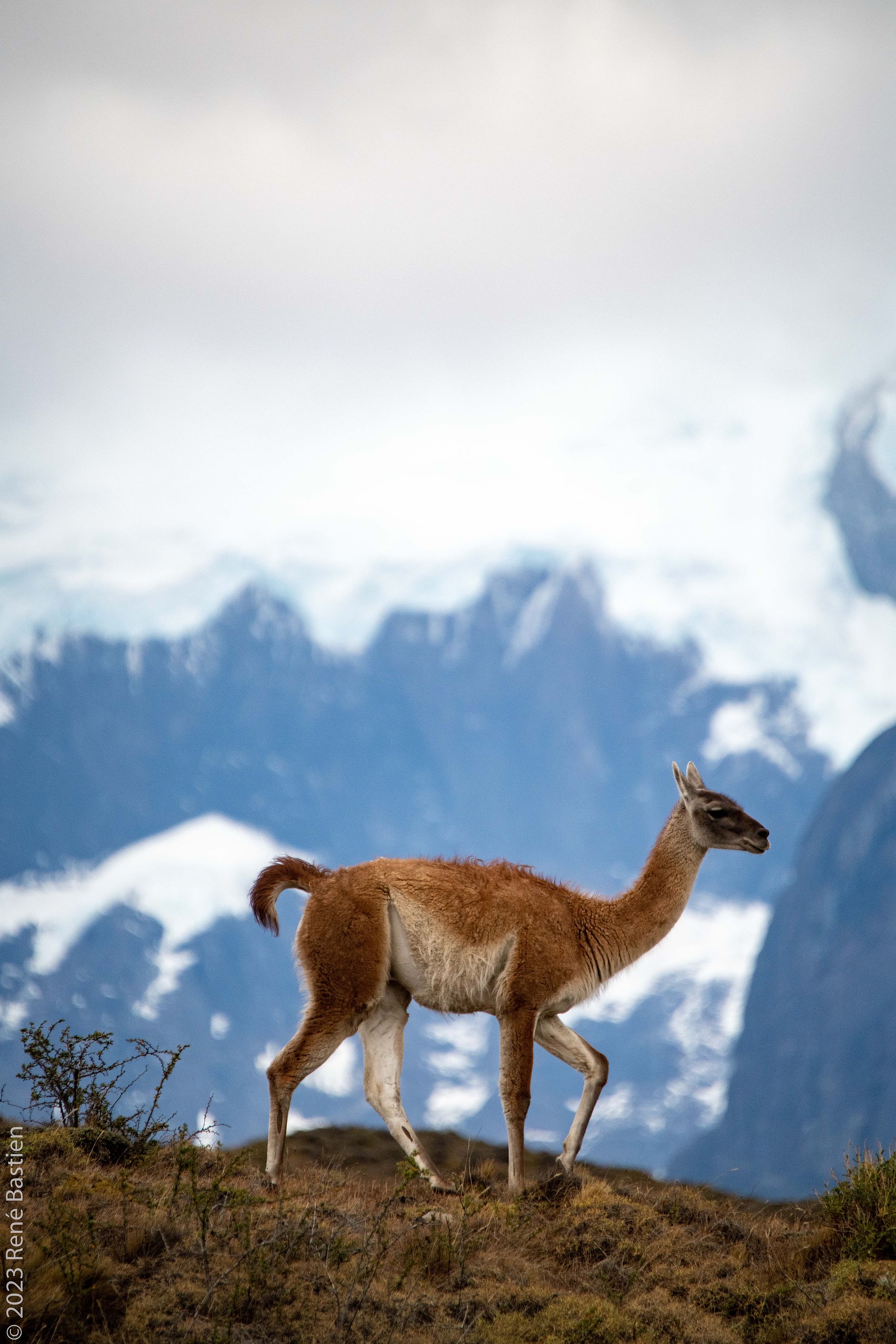 Patagoniajpg