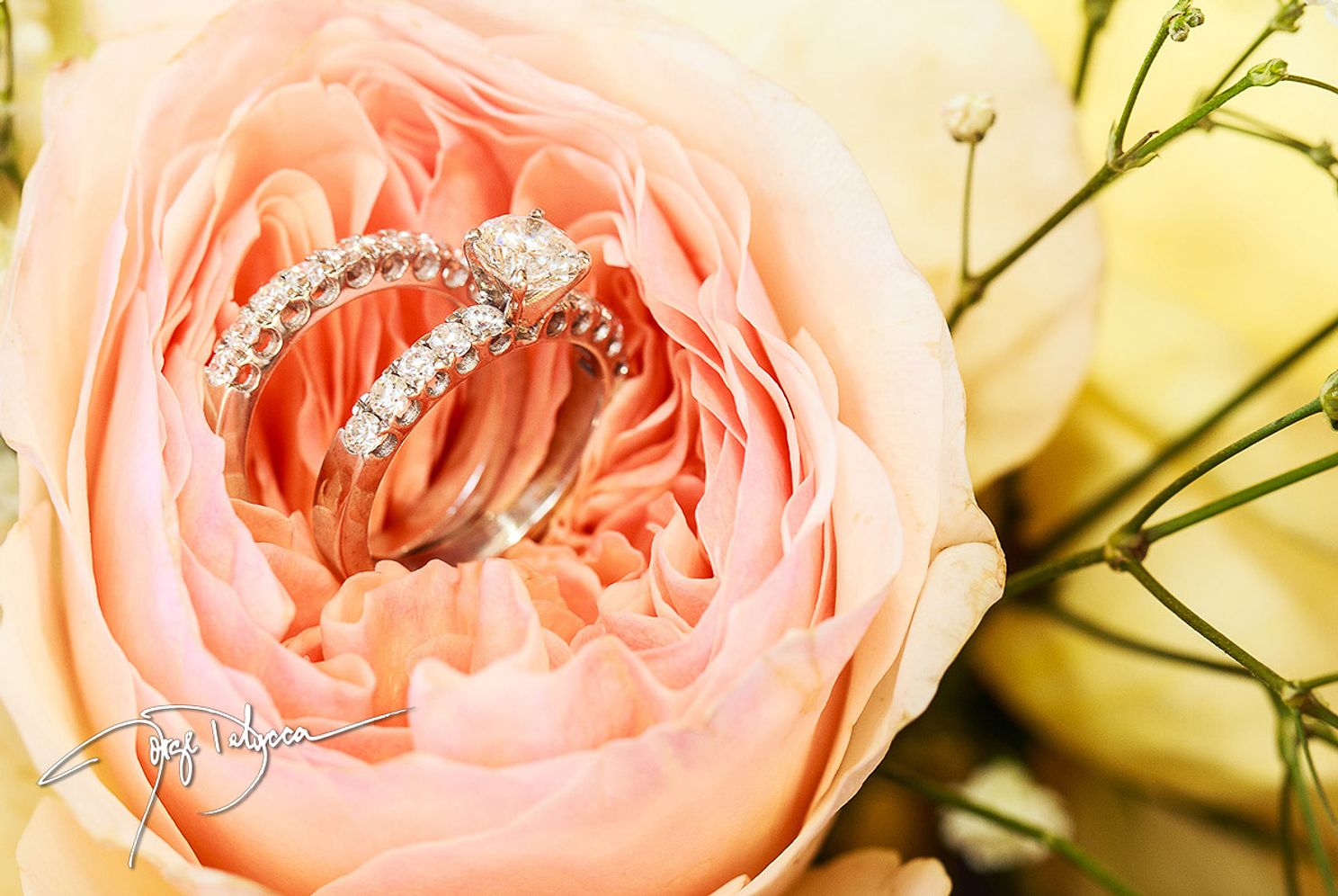 Oklahoma Macro photo of wedding rings inside flower bouquet - Cole's Garden Oklahoma