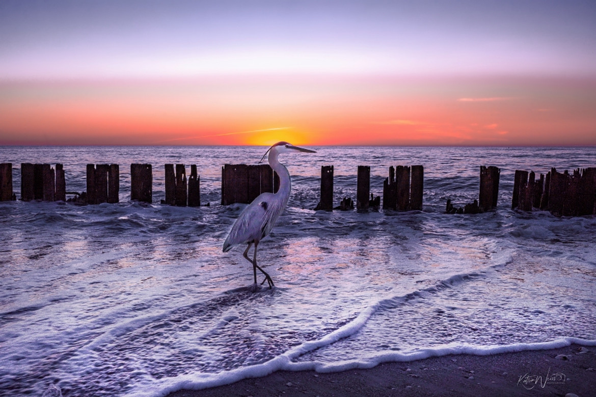 Purple Sunset Small.jpg 1