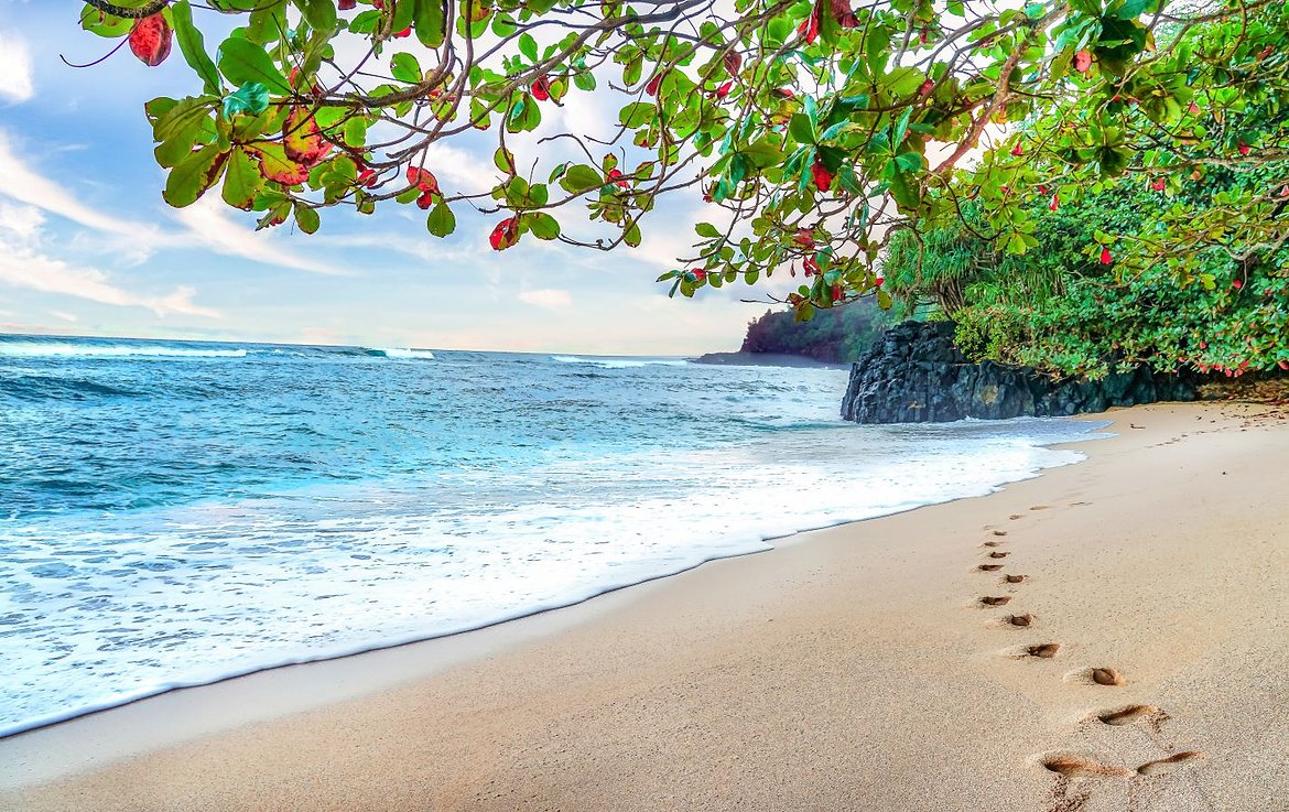 Hawai beach foot steps redone small.jpg 11