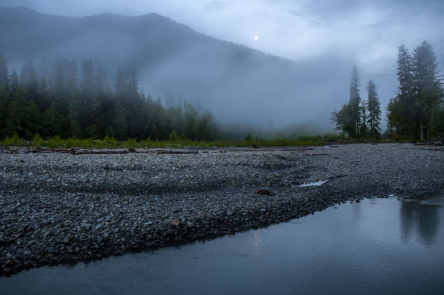 Hoh_Rain_Forest_Olympic_National_Park-3684.jpg