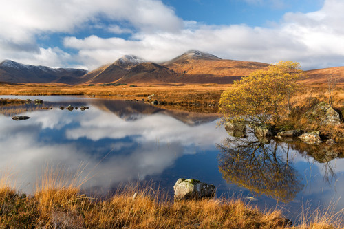 Blackmount Autumn Colours Rannoch Scotland