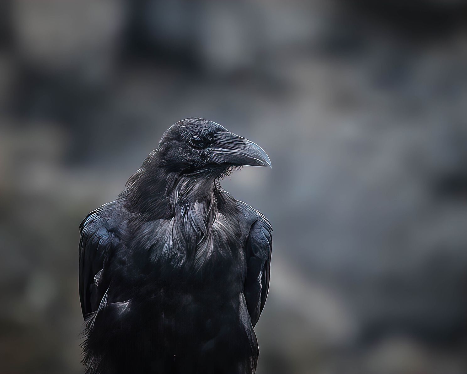Empress of the Canyon