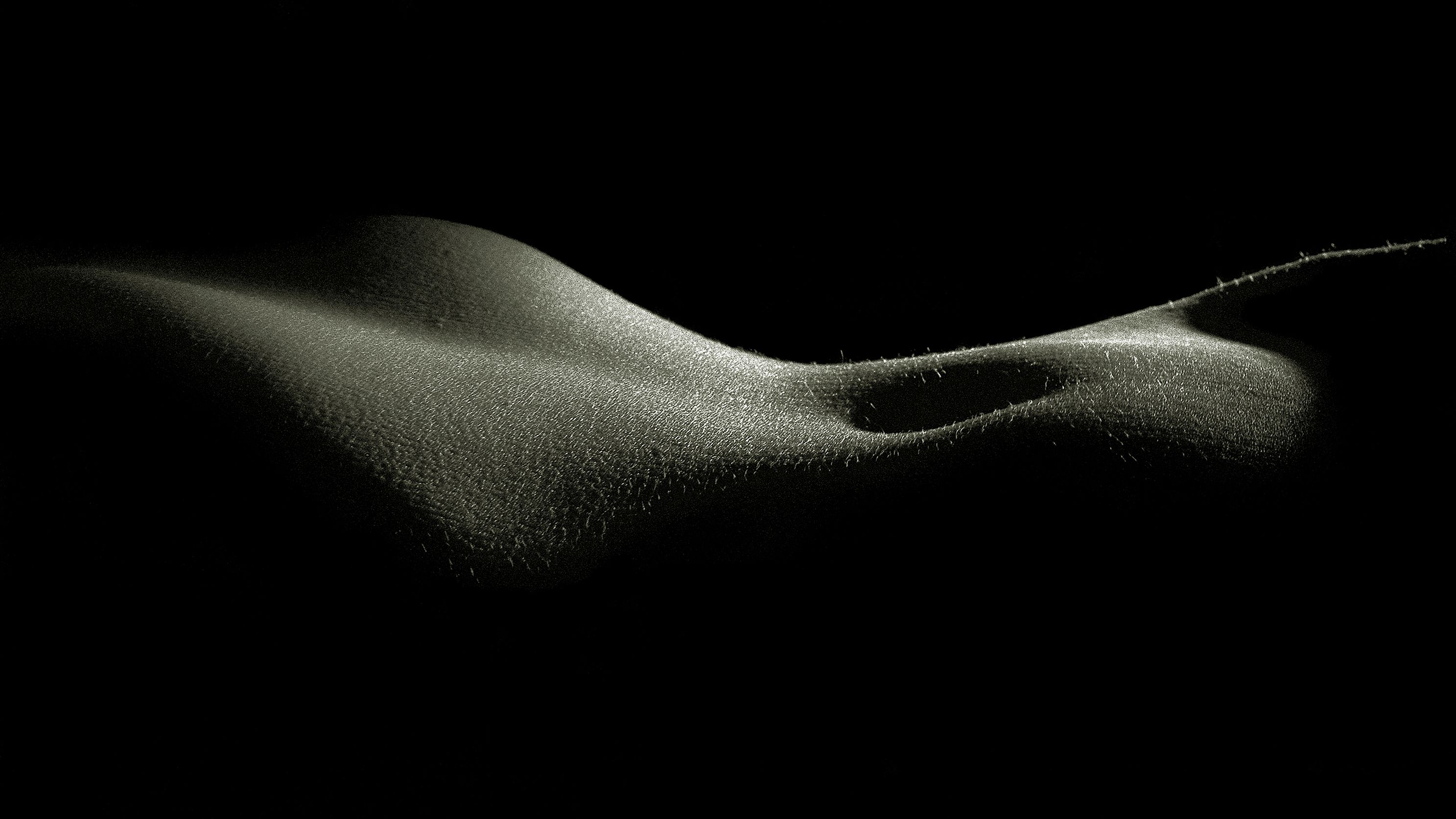 Bodyscape Dunes