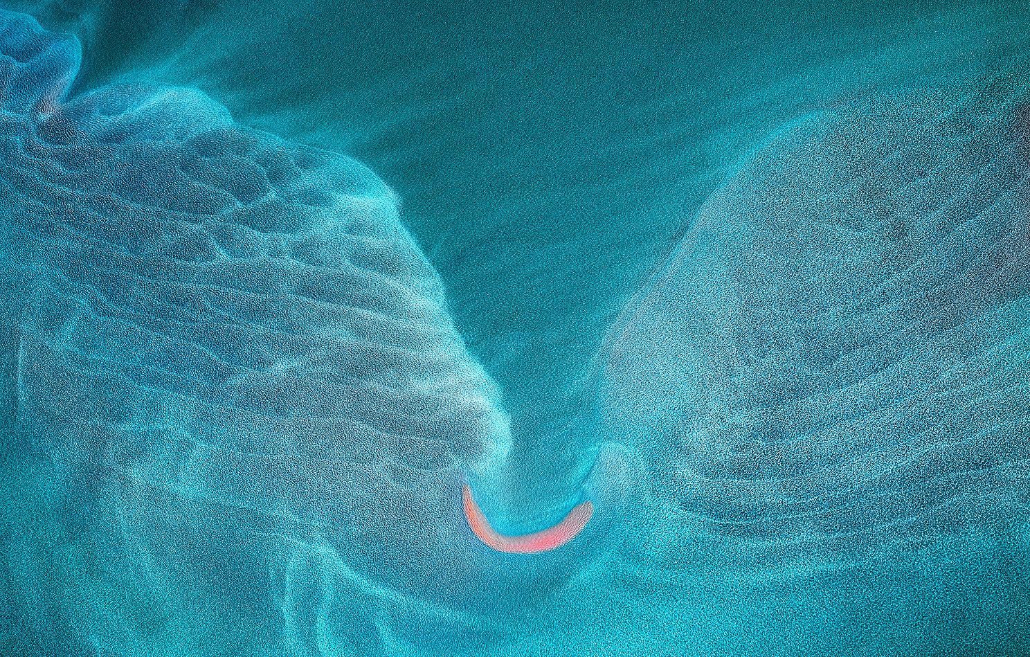 Faure-0698.jpg