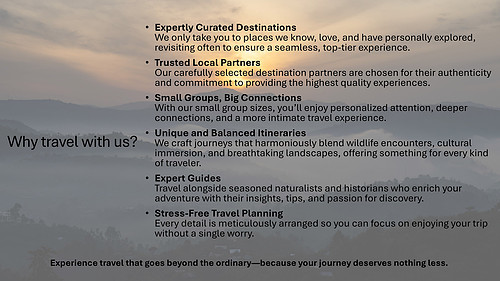 Why Travel with us!.jpg