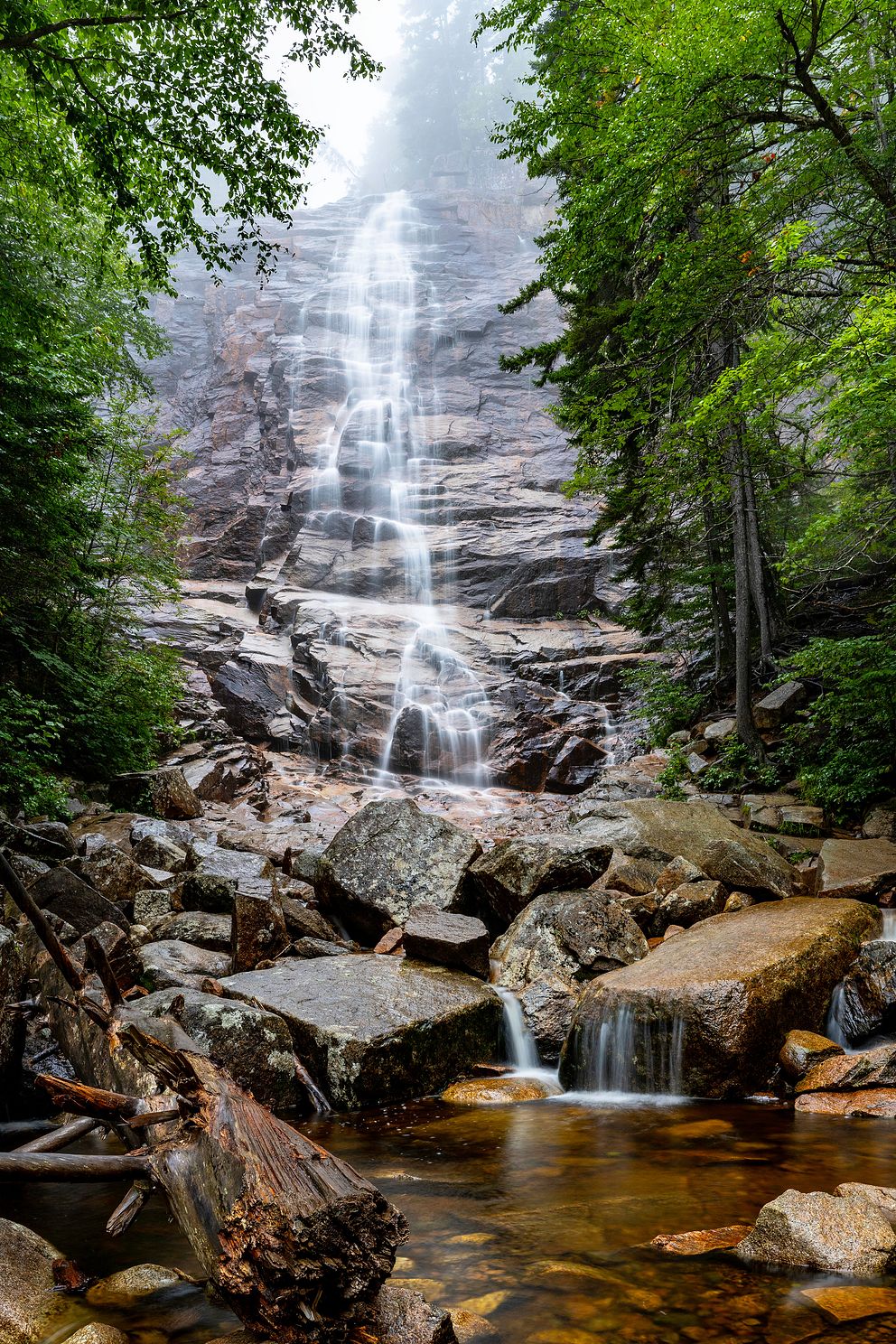 Arethusa_Fall_Best copy.jpg