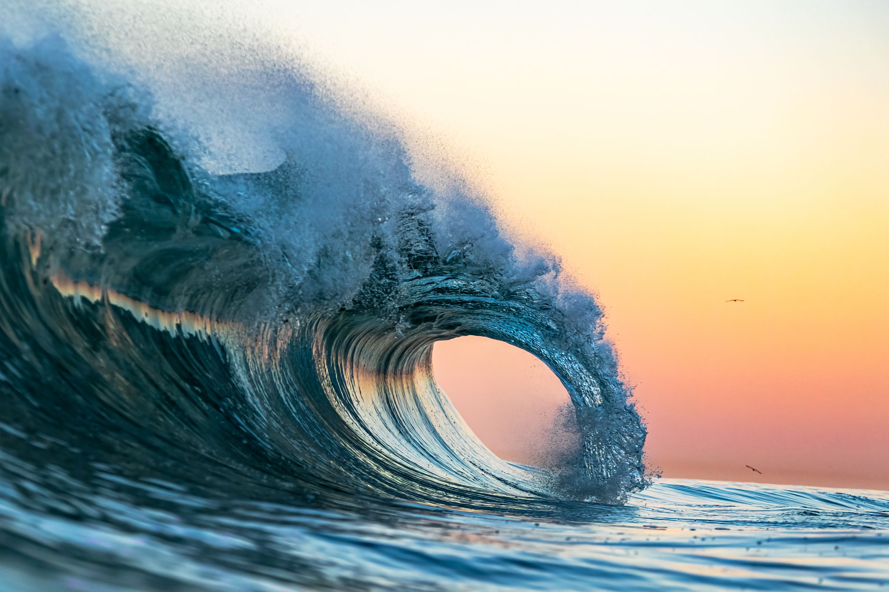 Perfect Curve