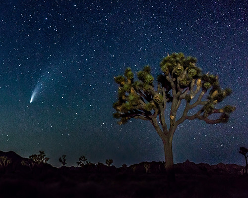"Lone Voyager"