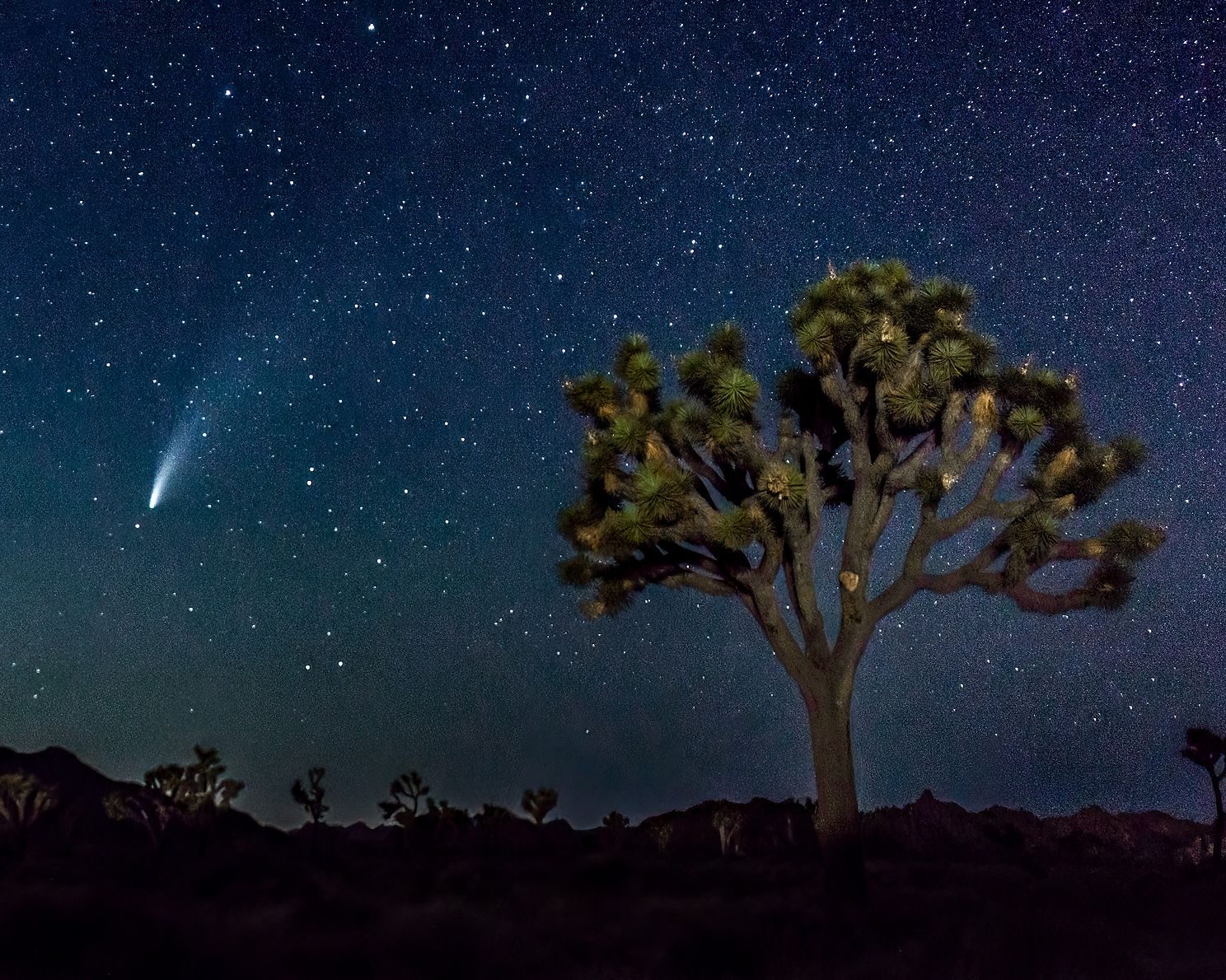 "Lone Voyager"