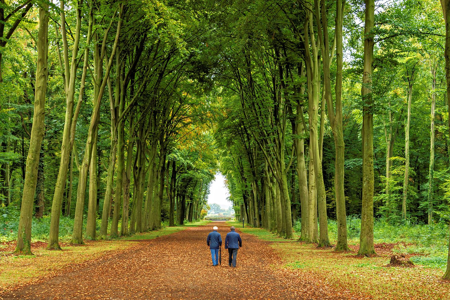 Friends Walking, Brühl, Germany