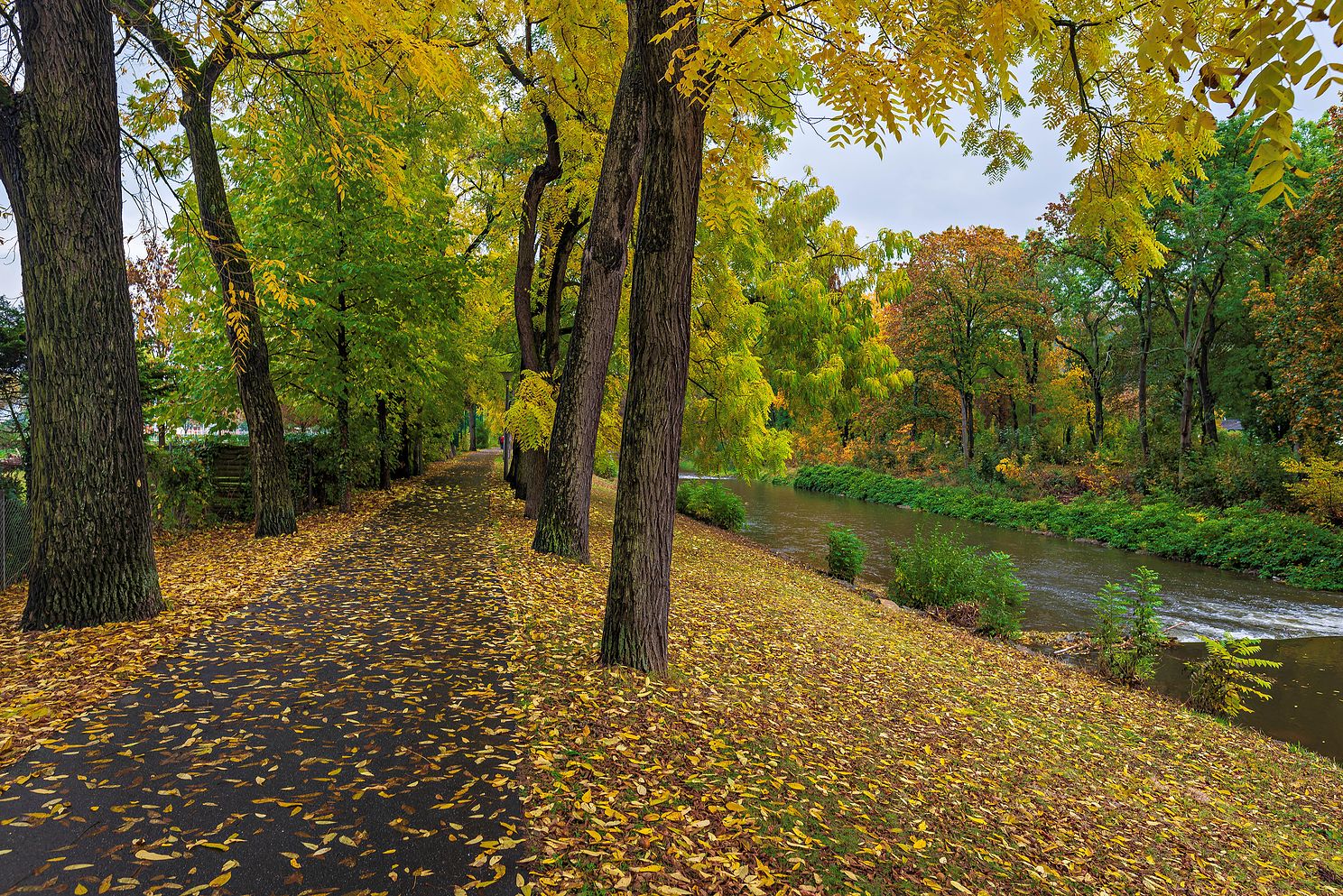 Fall along the Ahr River, Bad Neuenahr, Germany