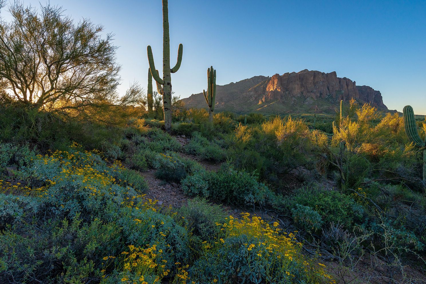 Superstition Spring