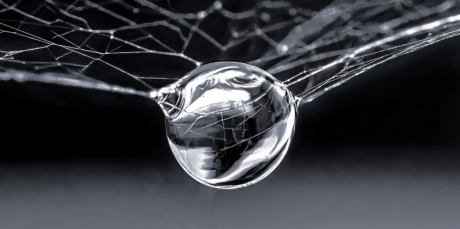 Suspended-web-edits-Edit-3.jpg