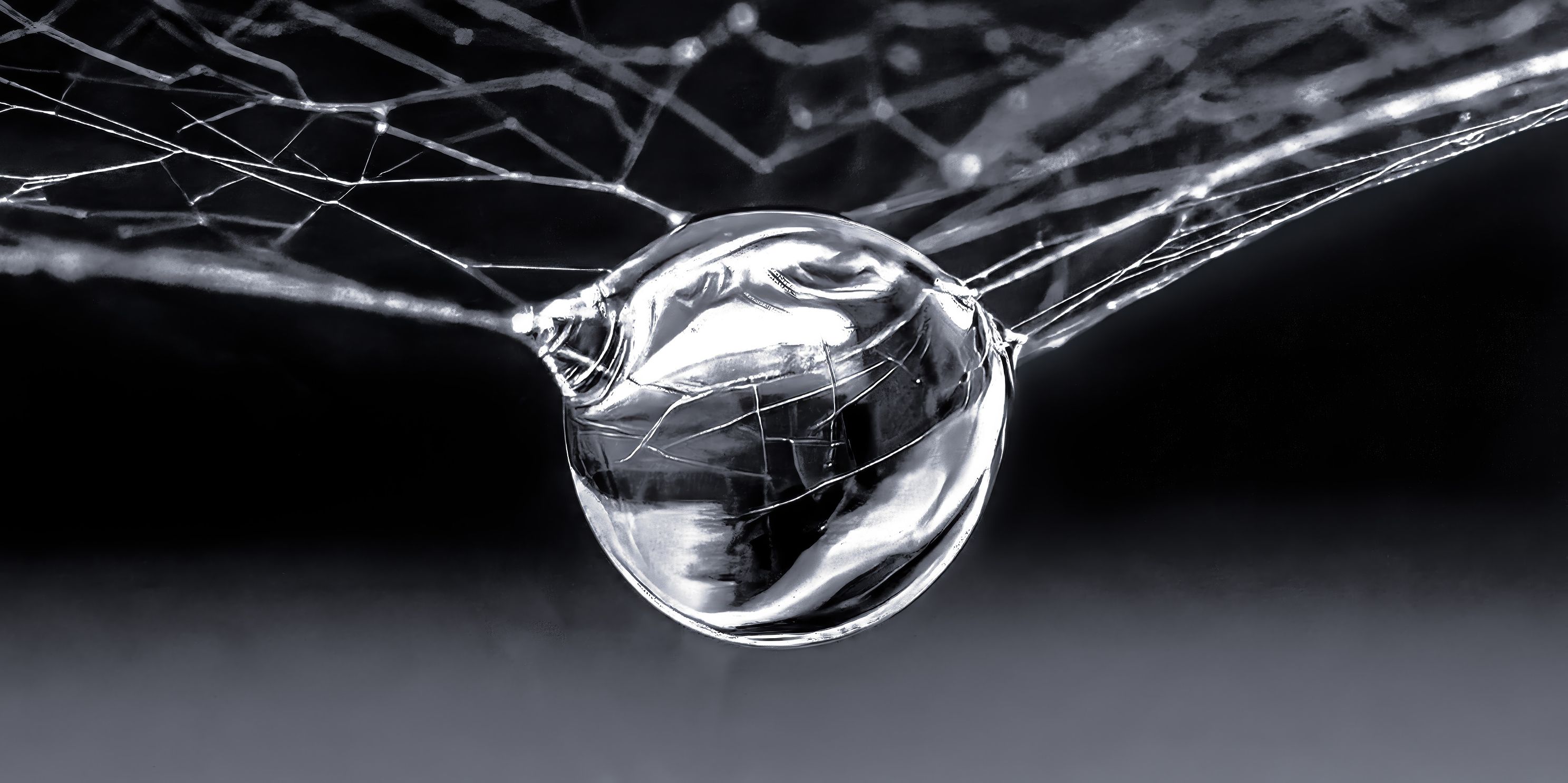 Suspended