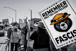 Protesters at No Kings Rally with a sign saying "Remember only you can prevent fascism"