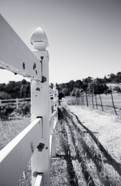 White fence along the edge of a field monochrome imageEditjpg