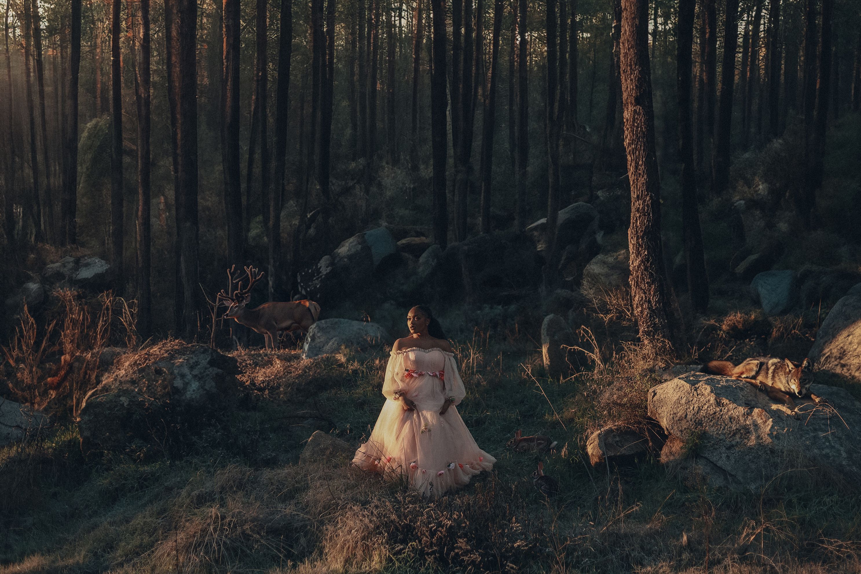 brsppwonderland-16.jpg