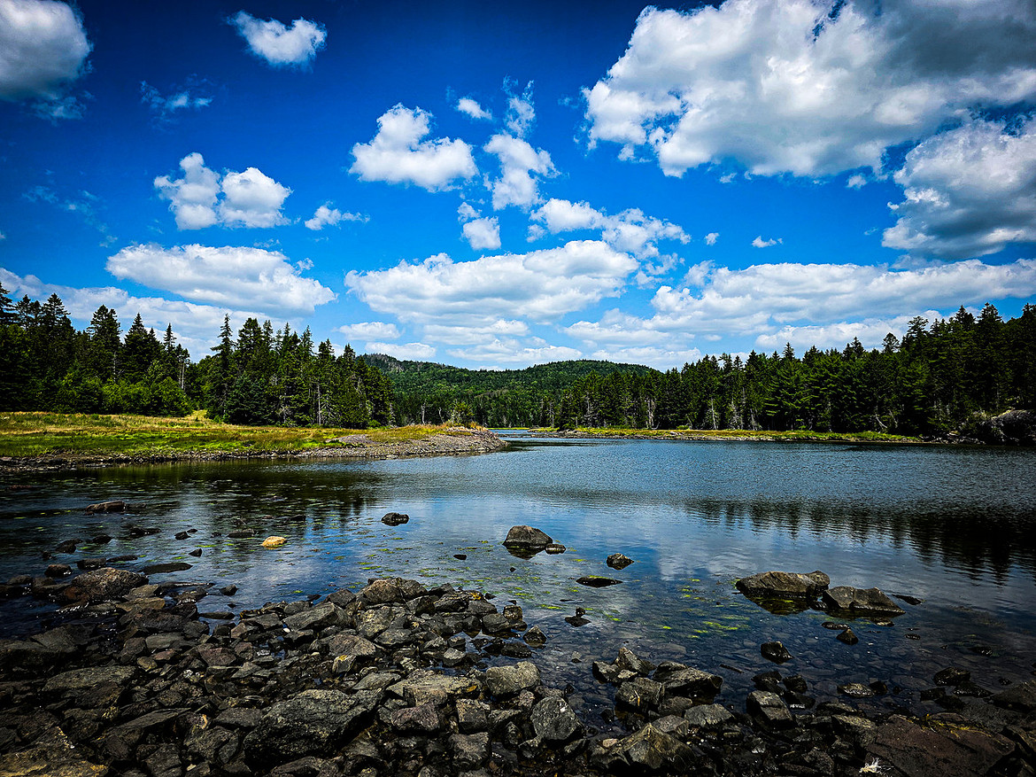 Sam Orr Pond Trail - Caughey-Taylor Nature Preserve, NB